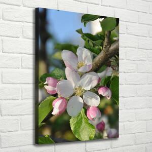 Vertikální Foto obraz canvas Květy višně ocv-106222924