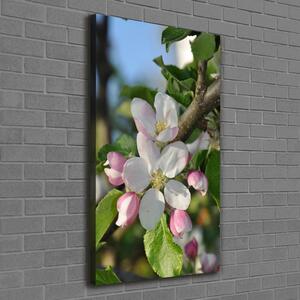 Vertikální Foto obraz canvas Květy višně ocv-106222924