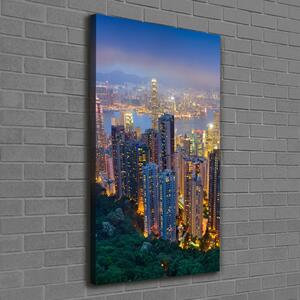 Vertikální Foto obraz na plátně Noční Hong kong ocv-106686696