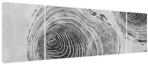 Obraz - Motiv stromu (170x50 cm)