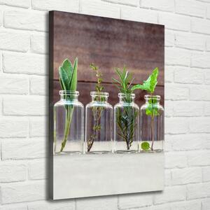 Vertikální Foto obraz na plátně Bylinky ve sklenicích ocv-107111601