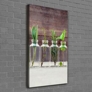 Vertikální Foto obraz na plátně Bylinky ve sklenicích ocv-107111601