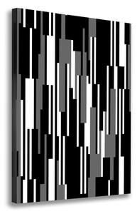 Vertikální Foto obraz na plátně Černo-bílé linie ocv-107133288