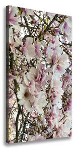 Vertikální Foto obraz na plátně Květy magnolie ocv-107287859