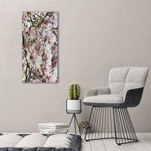 Vertikální Foto obraz na plátně Květy magnolie ocv-107287859