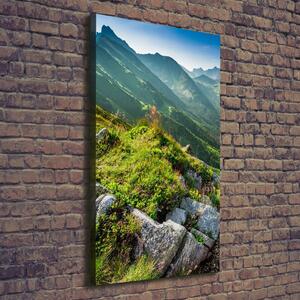 Vertikální Vertikální Foto obraz na plátně do obýváku Hory létem ocv-108007385