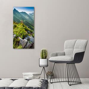 Vertikální Vertikální Foto obraz na plátně do obýváku Hory létem ocv-108007385