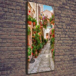 Vertikální Foto obraz na plátně Italské uličky ocv-108008671