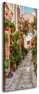 Vertikální Foto obraz na plátně Italské uličky ocv-108008671