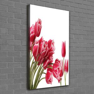 Vertikální Foto obraz na plátně Červené tulipány ocv-109710799