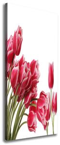 Vertikální Foto obraz na plátně Červené tulipány ocv-109710799