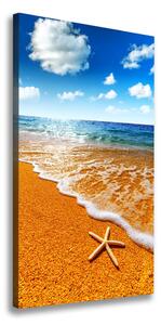 Vertikální Foto obraz na plátně Hvězdice na pláži ocv-110094883