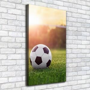 Vertikální Vertikální Foto obraz na plátně do obýváku Fotbal ocv-110116373