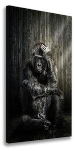 Vertikální Foto obraz tištěný na plátně Gorila ocv-110163639