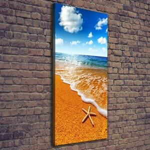 Vertikální Foto obraz na plátně Hvězdice na pláži ocv-110094883