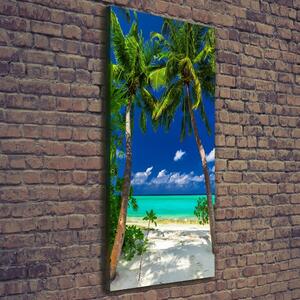 Vertikální Foto obraz na plátně Tropická pláž ocv-110568122