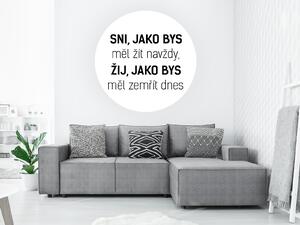 Sni, žij samolepka na zeď citát šíře 45 cm