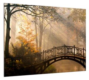 Sklo do kuchyně most v podzimním parku - 50 x 50 cm