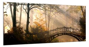 Sklo do kuchyně most v podzimním parku - 30 x 40 cm