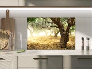 Ochranné sklo za varnou desku strom olivovník - 50 x 50 cm