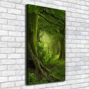 Vertikální Foto obraz na plátně Tripická džungle ocv-112054688