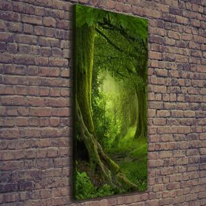 Vertikální Foto obraz na plátně Tripická džungle ocv-112054688
