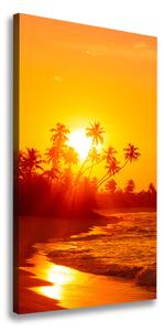 Vertikální Foto obraz na plátně Tropická pláž ocv-112375136