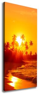 Vertikální Foto obraz na plátně Tropická pláž ocv-112375136