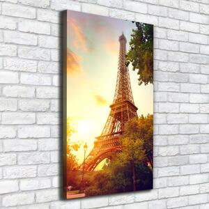 Vertikální Foto obraz na plátně Eiffelová věž Paříž ocv-112422596