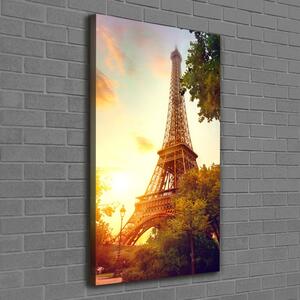 Vertikální Foto obraz na plátně Eiffelová věž Paříž ocv-112422596