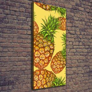 Vertikální Moderní obraz canvas na rámu Ananasy ocv-112911830