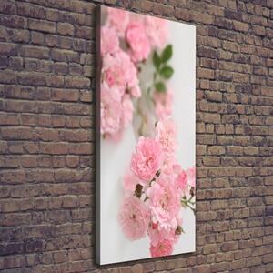 Vertikální Vertikální Foto obraz na plátně do obýváku Divoká růže ocv-113333755