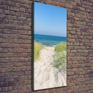 Vertikální Foto obraz na plátně Mořské duny ocv-113707111