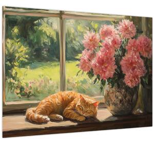 Obraz - Kočka na okně (70x50 cm)