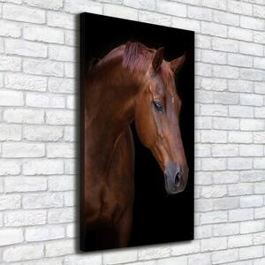 Vertikální Foto obraz na plátně Portrét koně ocv-114030424