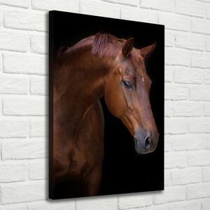 Vertikální Foto obraz na plátně Portrét koně ocv-114030424