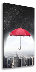 Vertikální Foto obraz na plátně Deštník nad městem ocv-114252006