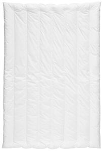 CELOROČNÍ PŘIKRÝVKA, 135/200 cm, polyester Centa-Star - Přikrývky, Online Only
