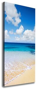 Vertikální Foto obraz na plátně Tropická pláž ocv-11574570