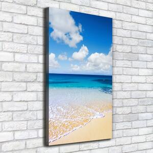 Vertikální Foto obraz na plátně Tropická pláž ocv-11574570