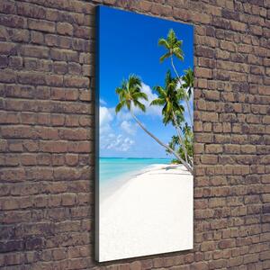 Vertikální Foto obraz na plátně Tropická pláž ocv-116010752