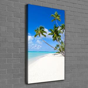 Vertikální Foto obraz na plátně Tropická pláž ocv-116010752