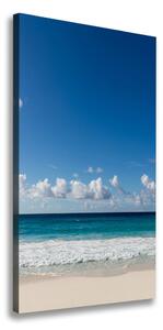 Vertikální Foto obraz na plátně Tropická pláž ocv-116222008