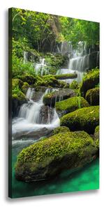 Vertikální Foto obraz na plátně Vodopád v džungli ocv-116886736
