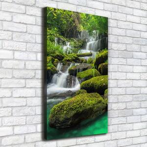 Vertikální Foto obraz na plátně Vodopád v džungli ocv-116886736