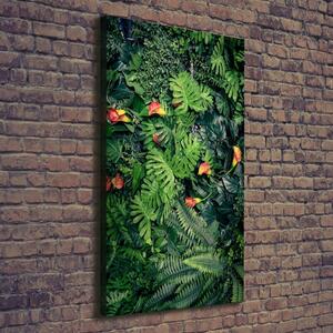 Vertikální Foto obraz na plátně Tropické rostliny ocv-117285228