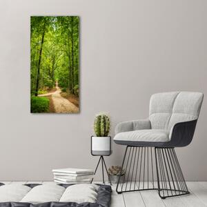 Vertikální Foto obraz na plátně Stezka v lese ocv-117628205