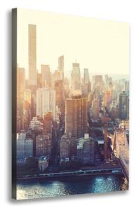 Vertikální Foto obraz na plátně Nový York ocv-117684952