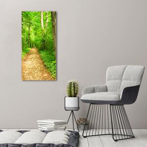 Vertikální Foto obraz na plátně Stezka v lese ocv-117769532