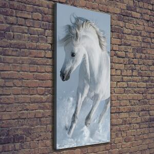 Vertikální Foto obraz na plátně Bílý kůň cval ocv-118288885